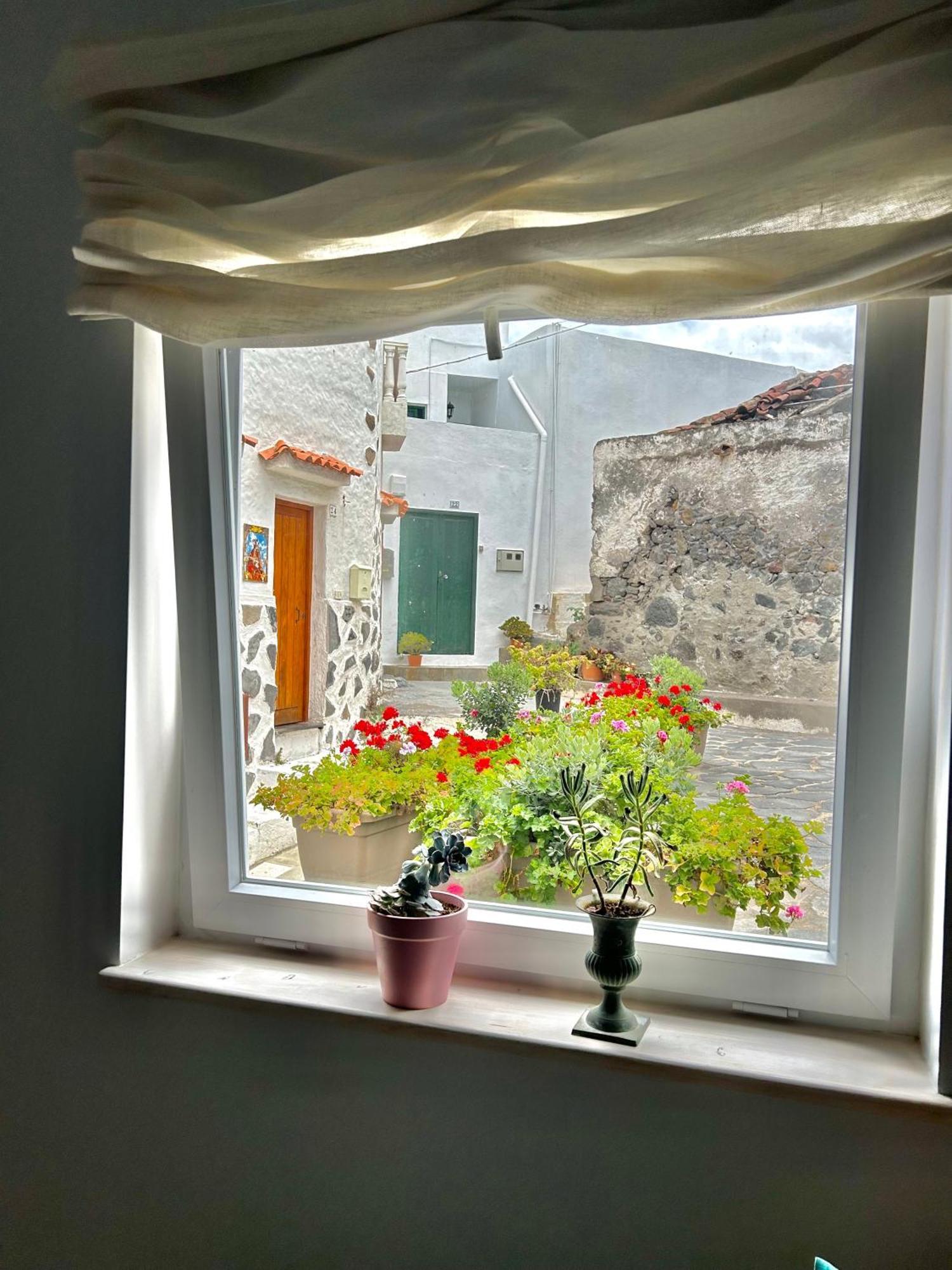 Perro Y Osito Apartamento Garachico  Exterior foto